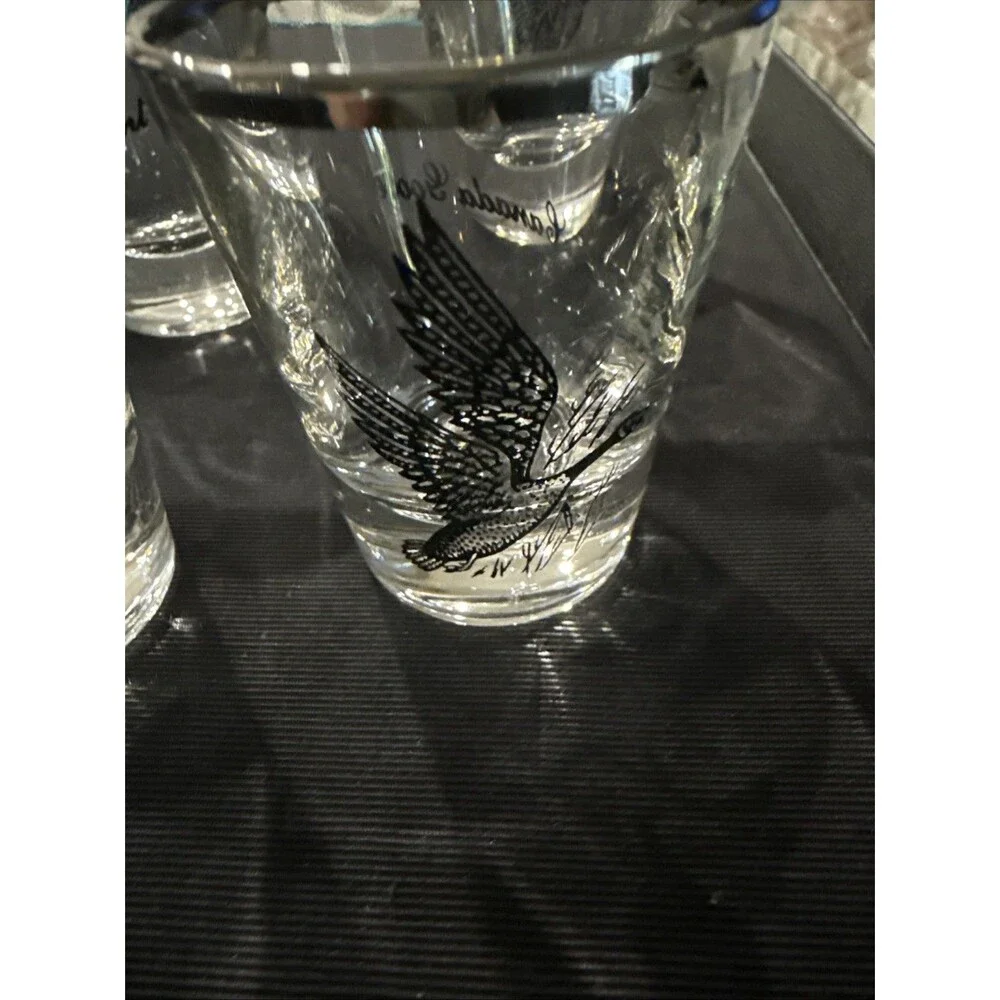 VTG Federal Glass Set 4 Goose, Pheasant, Grouse, Canvasback Clear/Black/Silver